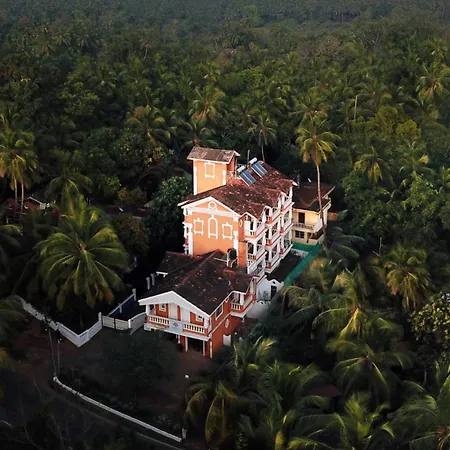 Отель Treehouse Nova